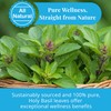 Akshit Premium 75 Holy Basil Tea Bags, From 100% Natural