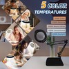 12X Magnifying Glass with Light and Stand,2-in-1 LED Desk Lamp