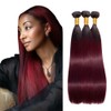 BilltiiWW Hair Bundles 1B99J Straight Bundles Two Tone Black Mixed