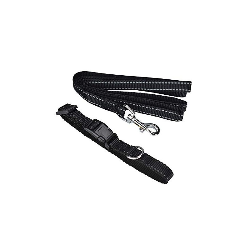 Fancy Pets Correa con Collar de Nylon para Perro con