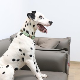 Lionet Paws Dog Collar, Comfortable Adjustable Cute Collar with Metal Buckle for Male Female Puppies and Cats, Tennis Ball Pattern, XS, Neck 8-12 inches