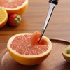 Grapefruit Spoons and Grapefruit Knife, Set of 7 Food Grade