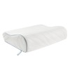 SEALY Dreamlife Contour Memory Foam Pillow, Standard