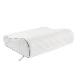 SEALY Dreamlife Contour Memory Foam Pillow, Standard