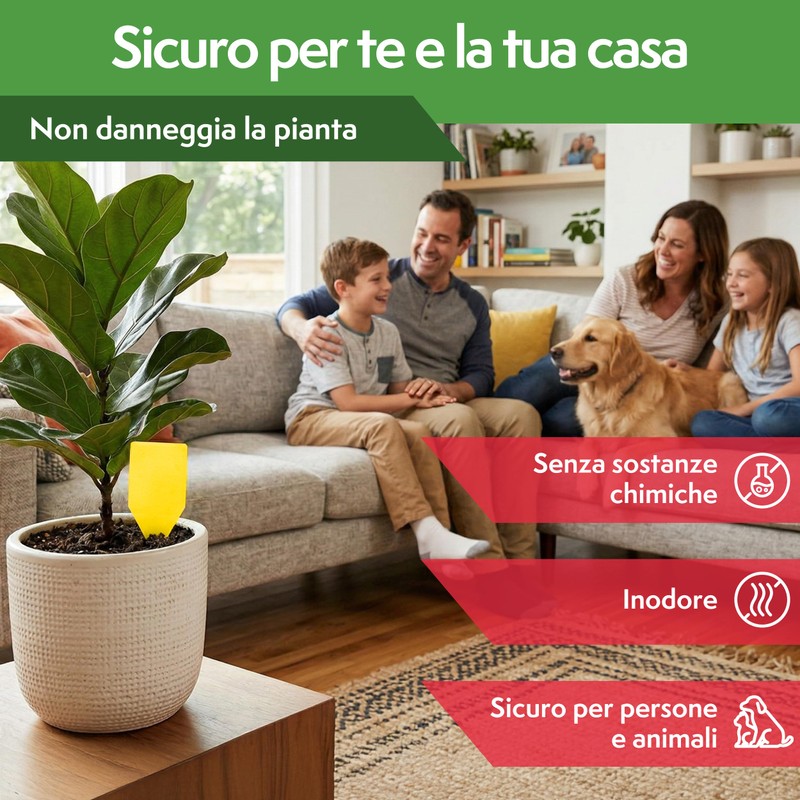Pattler Trappola Moscerini per Piante da Interno – 30 Pezzi.