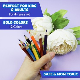 BAZIC Products Colored Pencils 12 Color, Mini Coloring Pencil Set Soft Core, for Art Drawing Sketching (12/Pack), 144-Packs