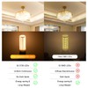LFLAMPON G9 LED Bulb Dimmable 8W, 60-80 Watt T4 G9