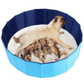 FLKQC Whelping Pen for Dogs, Foldable Birthing Pool for Dogs, Whelping Box for Dogs and Puppies, Poartable Plastic Swimming Pool & Bath Tub for Dogs (Blue) (39.4” Dia. × 11.8” H (100cm × 30cm))