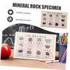 FELTECHELECTR Educational Mineral Rock Specimens 12 Pieces Display Specimens for