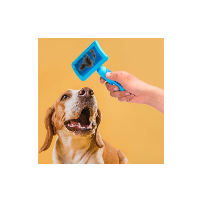 Fancypets Fancy Pets Carda para Perro Tamaño Grande Color Azul