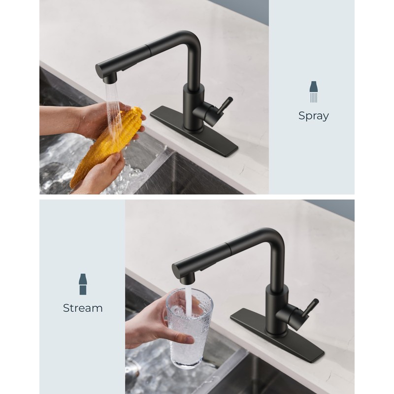 FORIOUS Black Kitchen Faucet with Pull Down Sprayer, Stainless Steel