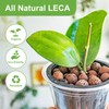 Pulovin 2.5 lbs LECA Clay Pebbles for Plants, 4-16mm LECA