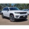 BASF Touch Up Paint for Jeep Grand Cherokee with paint