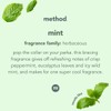 Method Glass Cleaner Spray, Mint, Ammonia Free Solution, Mirror &