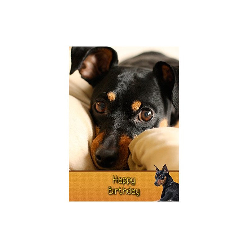 Miniature Pinscher Dog Birthday Card