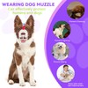 Dog Basket Muzzle for Anti Biting & Chewing, Lightweight Cage