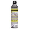 Raid 668006 14 oz. Wasp & Hornet Killer Spray (12/CT)