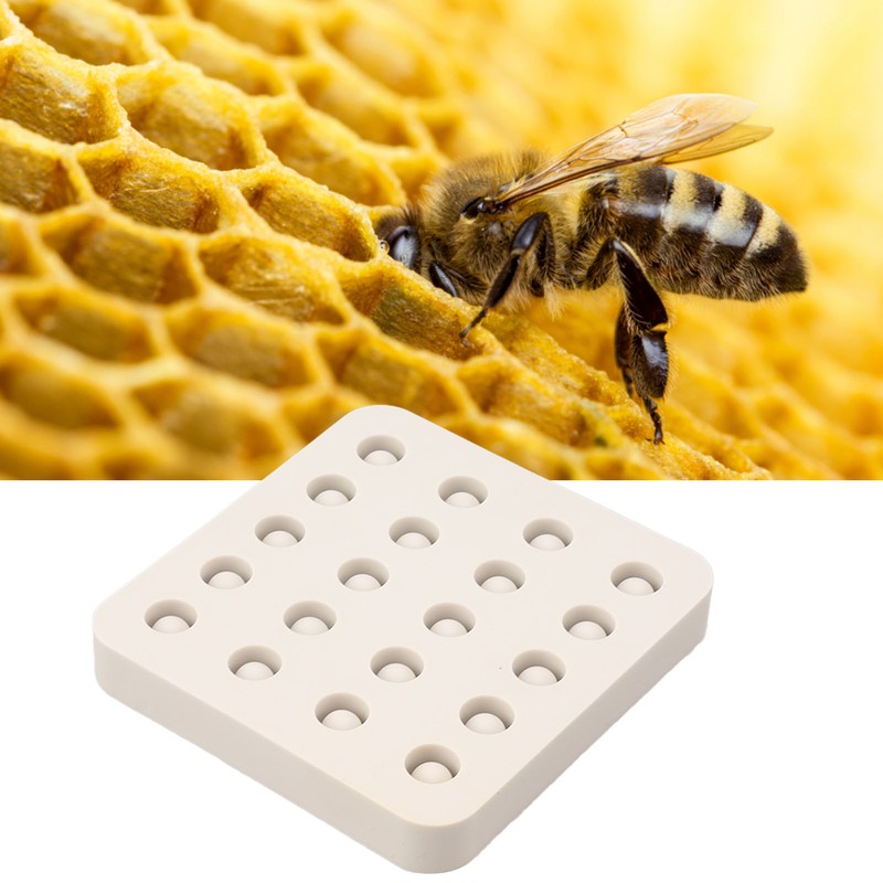 Wax Queen Grafting Cups Silicone Mold Beekeeping Beeswax Queen Cell