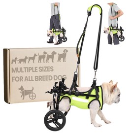 Dog Wheelchair for Back Legs, for Small Breed Dog - Includes High-Visibility Vest, Leash & Sling Lift, for Arthritis, Paralyzed, Injured, or Disabled Dogs