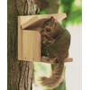Woodlink NASQBOX Audubon Squirrel Munch Box Feeder