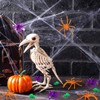 Civaner 3 Sizes 120 Pieces Plastic Spiders Small Plastic Spiders