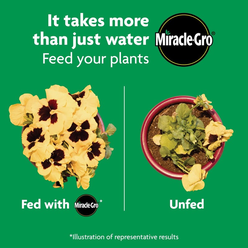Miracle-Gro Shake 'N Feed All Purpose Plant Food, For In-Ground