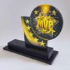 Champion Trophy 6 Inches Acrylic Most Valuable Player Trophy Award