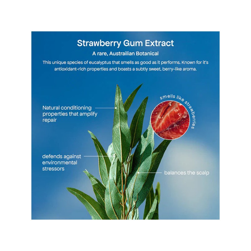 Bondi Boost Strawberry Gum HG Miracle Hair Mask 250ml
