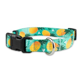 Limeloot Pineapple Dog Collar, Cute Adjustable Dog Collar for Boy and Girl Dogs, Medium