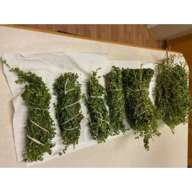 organic / natural 2 oz. CHAPARRAL *HIERBA MEDICINAL* LLUVIA DEL DESIERT