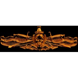 US Navy Surface Warfare Officer Skull Badge USN SWO Insignia Naval Golden Pin