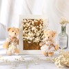 Fumete 200 Pcs Mini Dried Baby Breath Flowers Christmas Ivory
