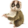BH7043 HANSA Slow Loris 17