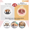 WHIPPY Slow Feeder Bowl for Small Medium Dog Fun Maze