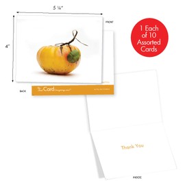 10 ‘You Say Tomato' Gratitude and Thank You Cards (w/ Envelopes) - Tomato Plant Greeting Cards for Wedding, Baby Shower, Thanksgiving - Boxed All-Occasion Garden Stationery 4 x 5.12 inch M2365TYG