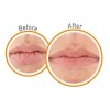 OKeeffes Lip Repair Protector Labial Cooling Relief Lip Balm, 2-Pack