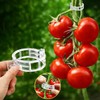 120-Pack Durable Plant Clips for Climbing Plants & Vegetables