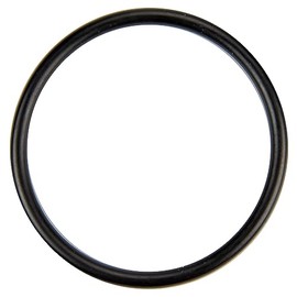 Pentair U9-226 O-Ring Diffuser Replacement for Select Sta-Rite Pool and Spa Filters