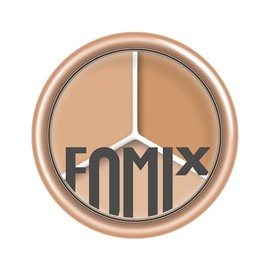 FOMIX Concealer Highlights All-in-One Disc Brighten Contour Multi-functional Makeup Palette F502-01