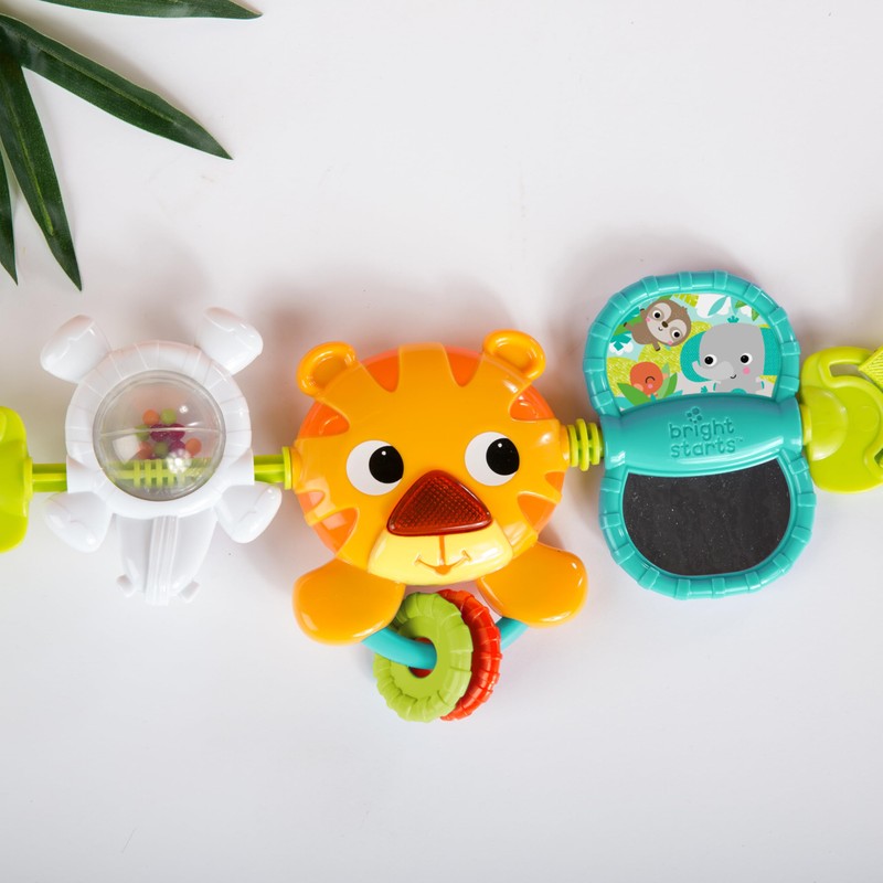 Bright Starts Take Along Musical Carrier Baby Activity Toy Bar,