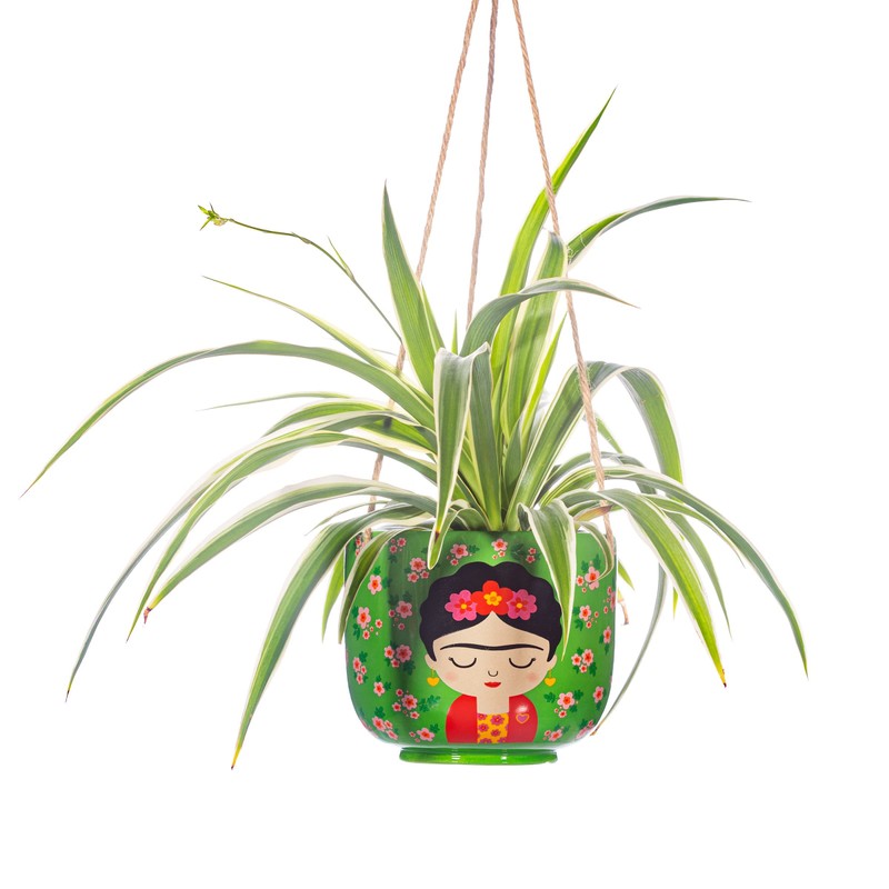 Sass & Belle Floral Frida Hanging Planter