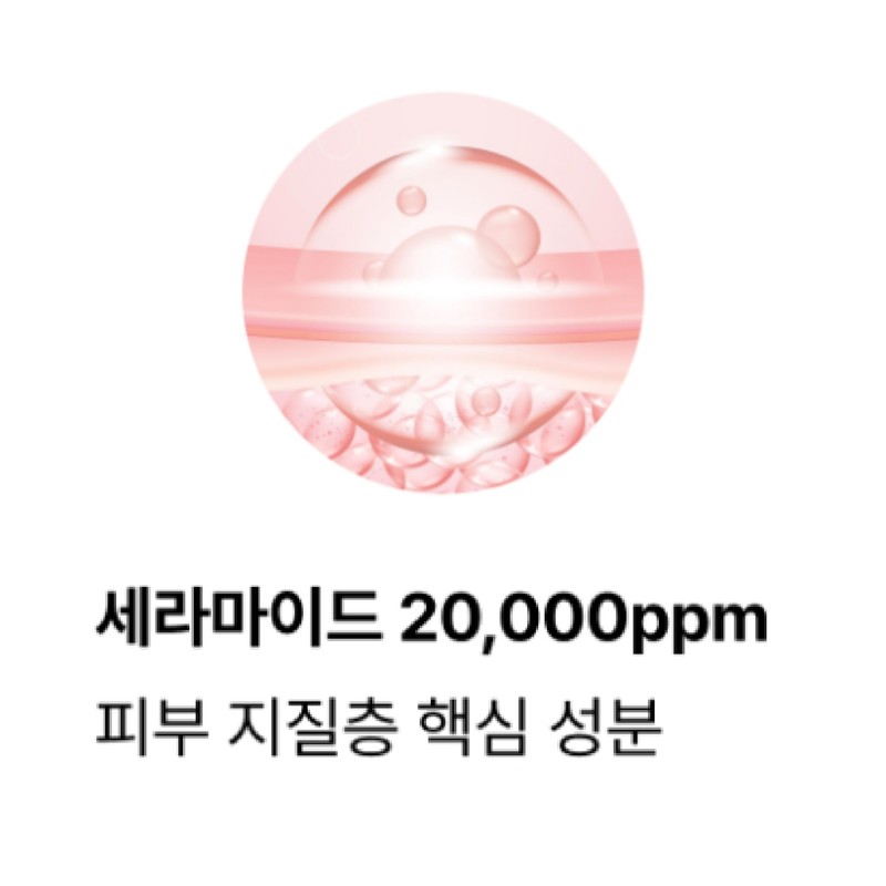 장벽 진정 보습 크림 PDRN 세라마이드 판테놀 엑소리쥬 세라콜지 242,