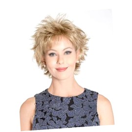 Beavorty Old Lady Wig Set Ponytail Hair Extension Women's Short Hair Wig for Senior