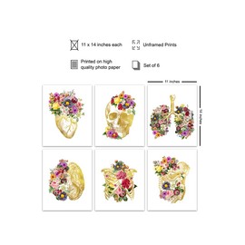 Shabby chic Human Anatomy Posters 11x14 - Graduation Gift - Nurse Practitioner, Physician Assistant, RN, Medical Student, Doctor - Gold White Gothic Wall Decor - Vintage Trendy Room Decor, Skull Heart