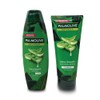 Palmolive Shampoo and Conditioner Set - Healthy & Smooth Aloe