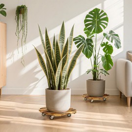 HAOIOKSC 2pcs 12In Plant Caddy - Plant Caddy with Wheels, Heavy Duty Rolling Plant Stand , Wooden Round Plant Dolly with 360° Lockable Metal Casters, for Indoor Outdoor Large Plant Pots, Flower Planters, Patio