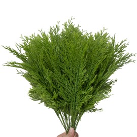 42PCS Christmas Greenery Picks for Crafts Artificial Pine Branches Christmas Stem Pine Picks Christmas Faux Cedar Stems Christmas Floral Picks Decoration