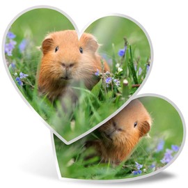 2 x Heart Stickers 7.5 cm - Cute Ginger Guinea Pets Animals Fun 8558