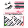 Cluster Lashes Eyelash Extensions Mixed 10-13 mm Eyelashes Cat Eye