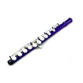 Sky Purple Lacquer Silver Keys Closed Hole C Flute, with Lightweight Case, Cleaning Rod, Cloth, Joint Grease and Screw Driver